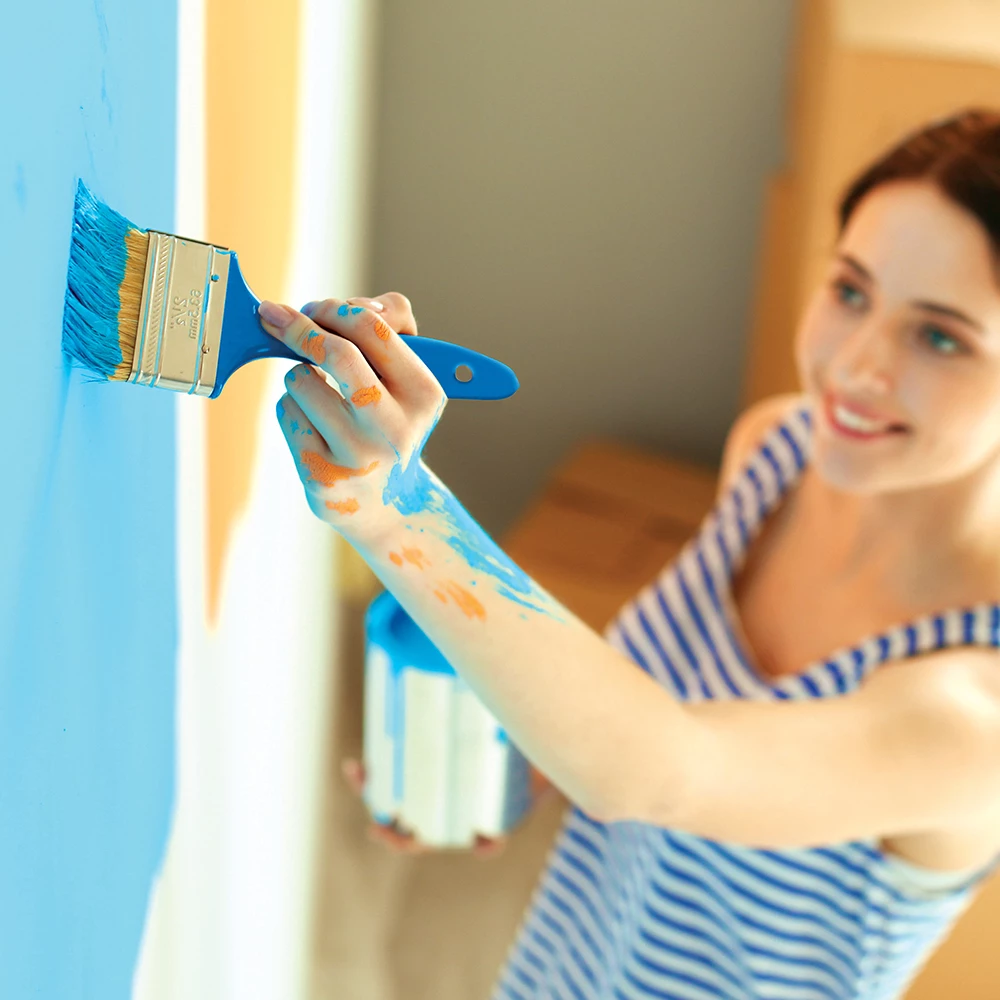 Toolstream Ltd Silverline Disposable Paint Brush Set 5pce